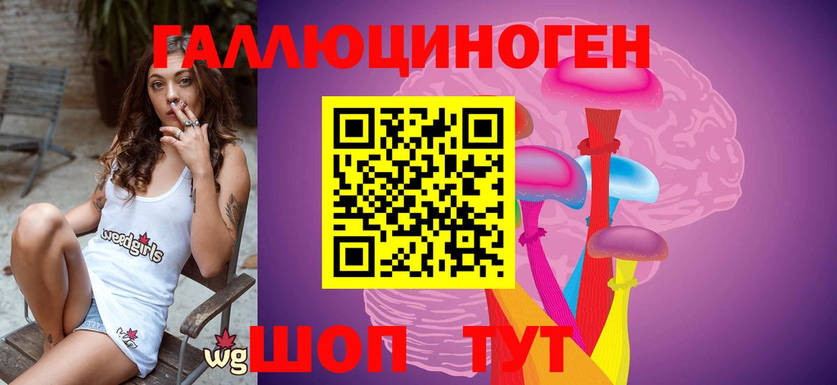 купить закладку  Галлюциногенные грибы Cubensis  Вход с VPN  Ессентуки 